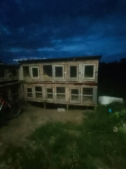 Продаж клітки для кроликів