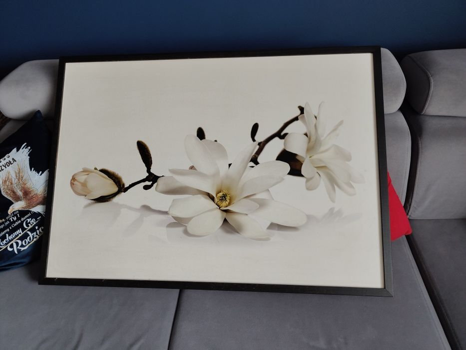 Obraz orchidea polecam