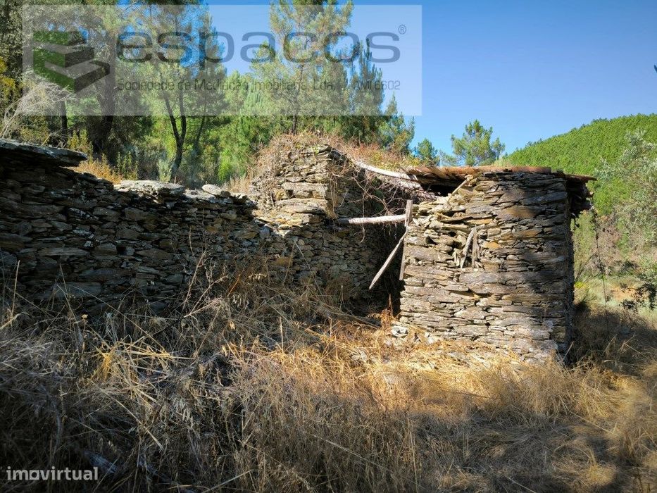 Terreno Agrícola