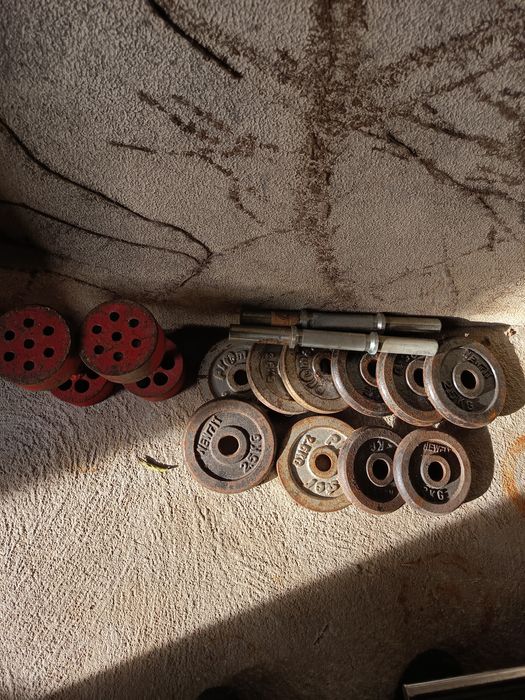 Anilhas, halteres, barras e banco de ginásio.