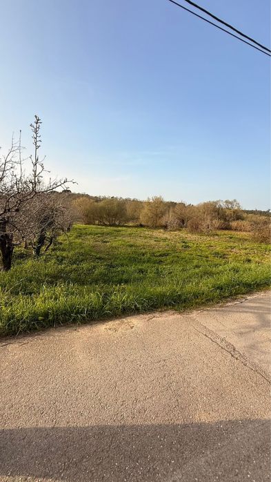 Terreno rustico em Brunhós Soure