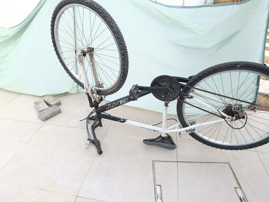 Bicicleta adulto