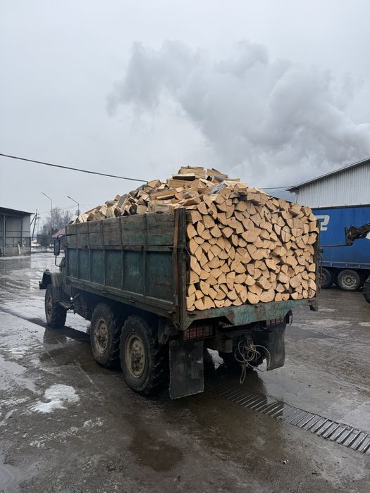 Колоті дрова  бук