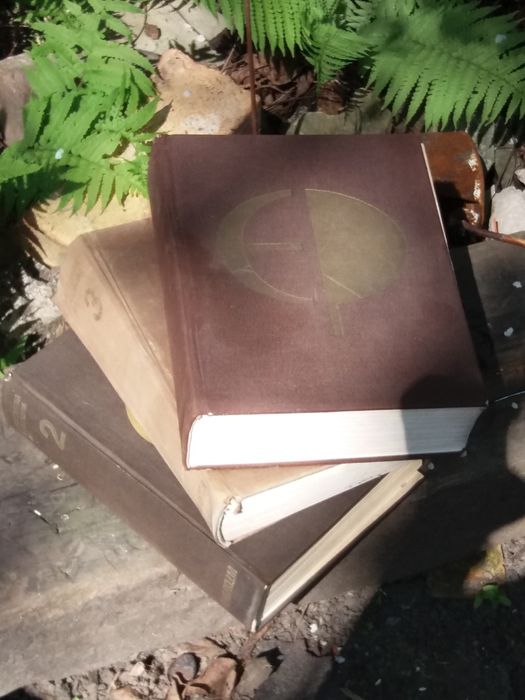 Encyklopedia Powszechna PWN 1987