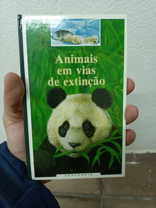 Conjunto 7 Livros Coleção Descobrir