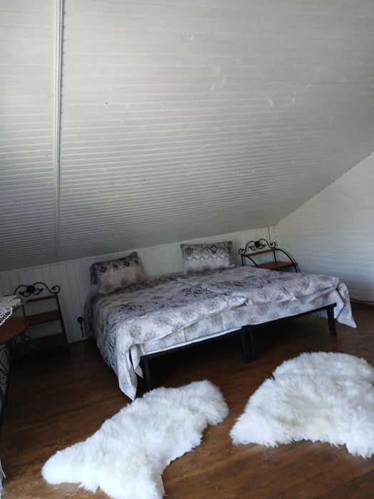 Відпочинок в Карпатах, Ясіня / Хата в Карпатах (500 грн. особа)