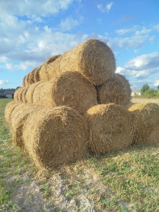 Sprzedam słomę   .