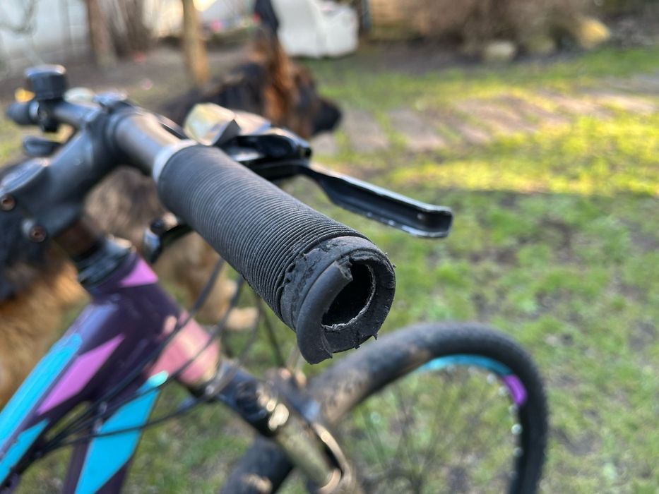 Rower Kross Lea koła 26" rama XS