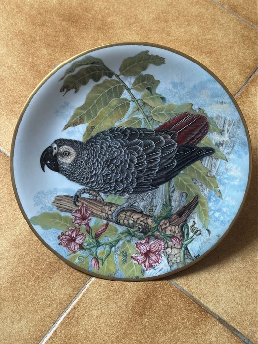 Pratos Colecao - Joias Vivas da Floresta Tropical