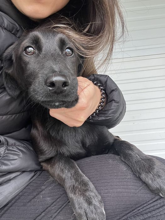 Bebé adorável para Adoção!