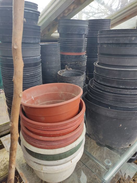 Doniczki produkcyjne różnej wielkości 400 sztuk