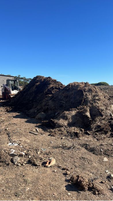 Limpeza de Terrenos - Corte de Árvores - Jardins