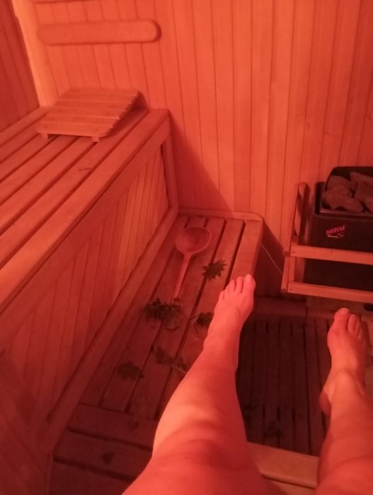 Здам  Сауну з басейном , здам беседку, рибалка, мангал