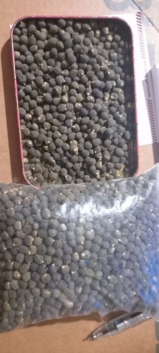 Продам насіня бамії