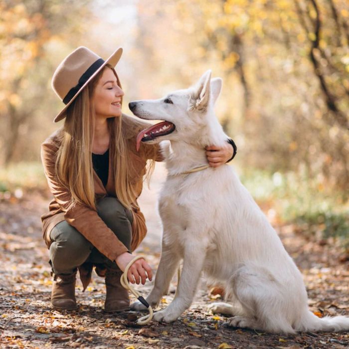 MOKRA KARMA DLA PSA SARNA 400 g 12 sztuk Darmowa dostawa Cały kraj