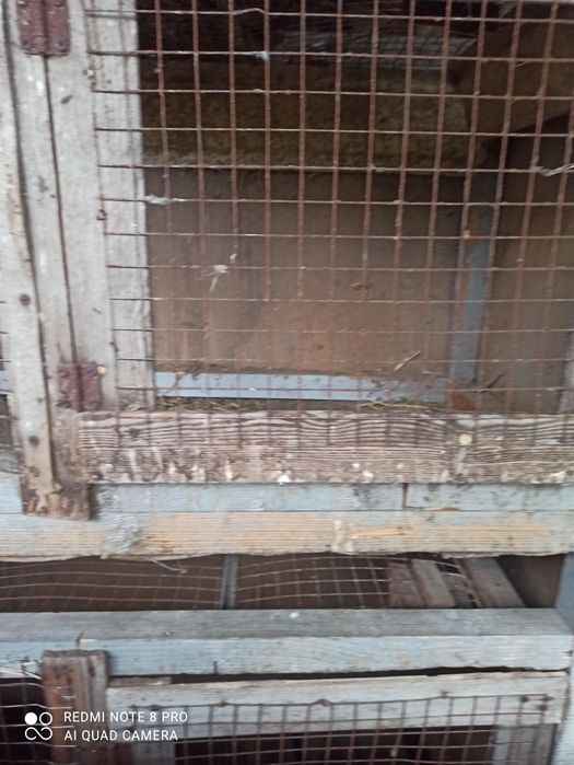 клітка 2 ярусна  з дверцятами.