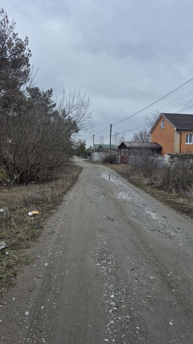 Обуховка, участок в лесу среди сосен
