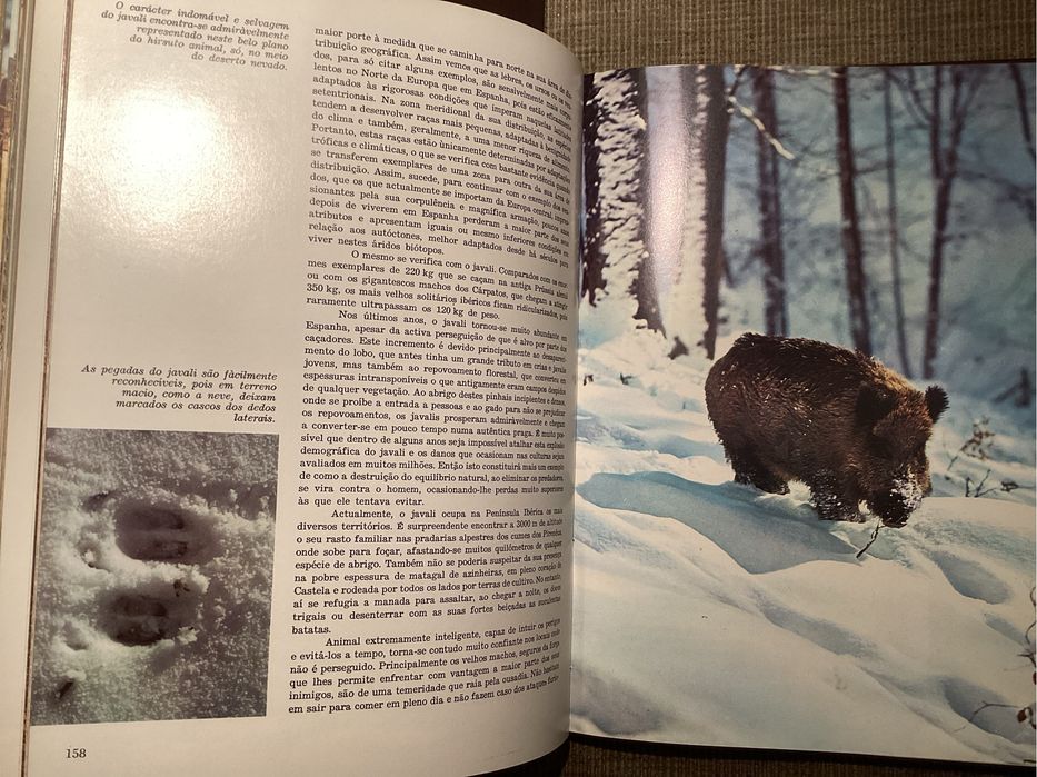 Eciclopédia A FAUNA da enciclopédia ALFA. Completa. Excelente.