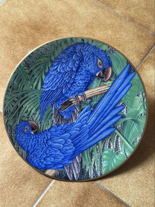 Pratos Colecao - Joias Vivas da Floresta Tropical