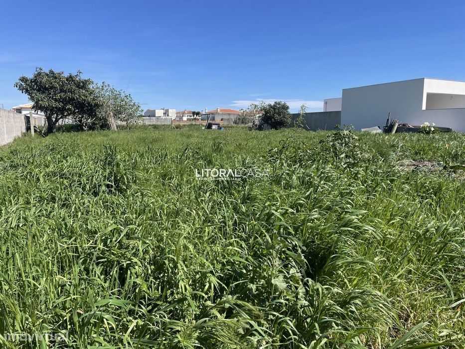 Terreno com viabilidade para construção de moradias