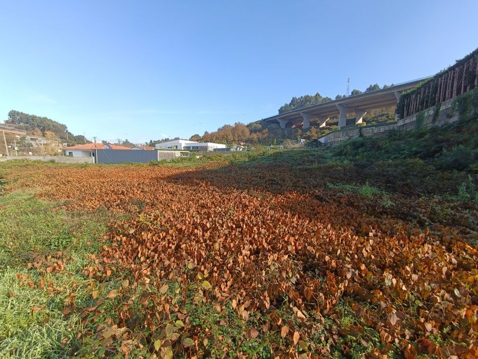 Terreno Urbano Serzedelo | Guimaraes