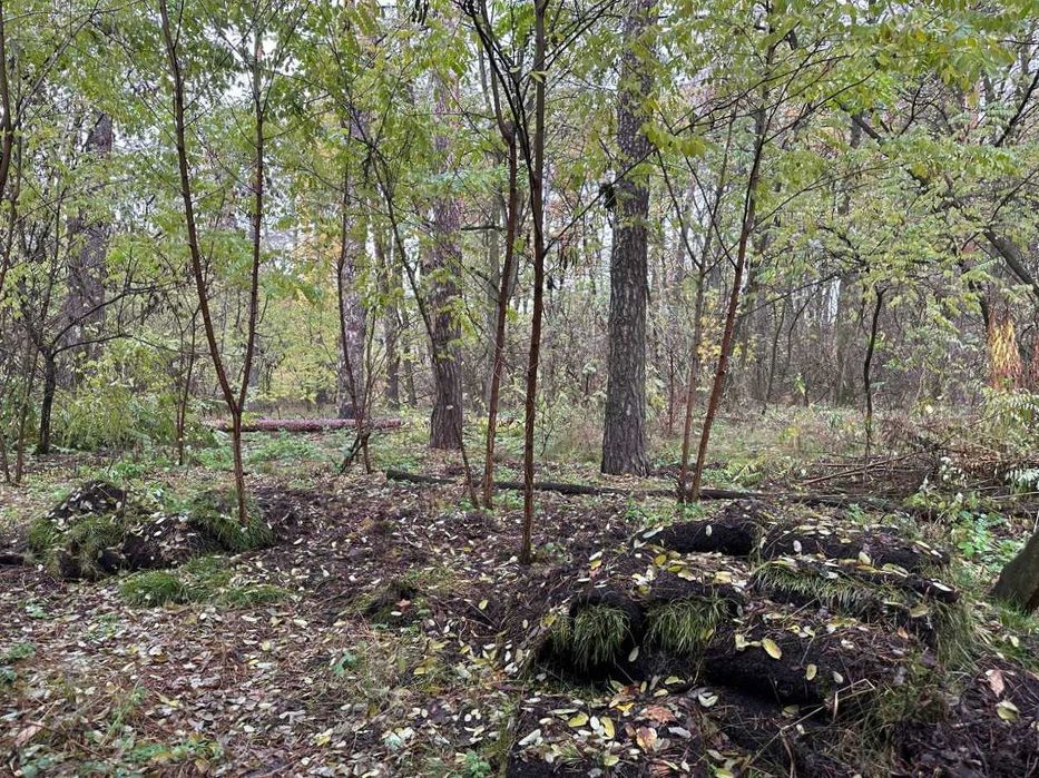 Продаж земельної ділянки під забудову, Ворзель, 12,6соток, ID:766