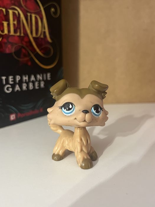 Oryginalny piesek collie LPS #853