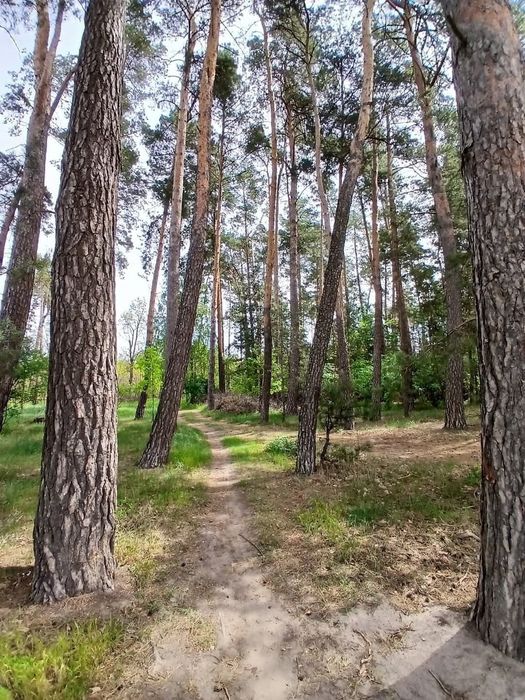 Дача, будинок з санвузлом