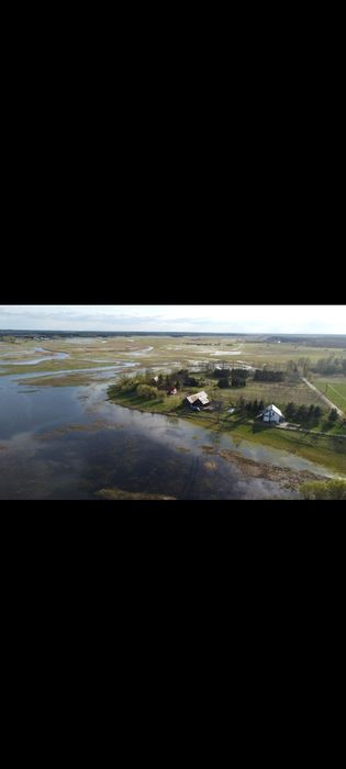 "Biebrza Starorzecze" domek nad Biebrzą z SAUNĄ