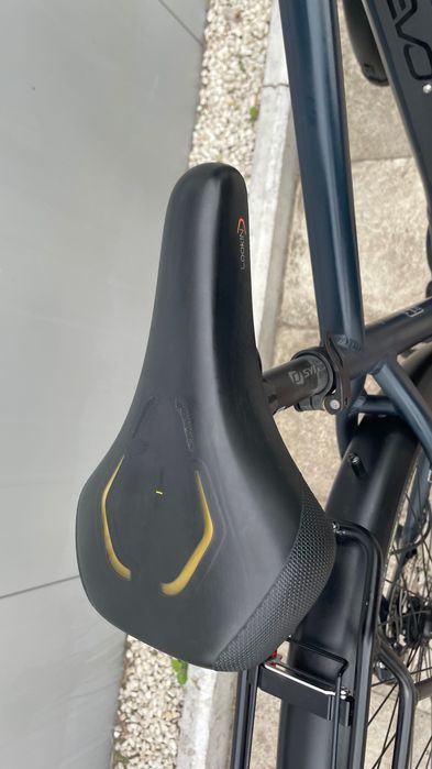 Rower elektryczny Pegasus