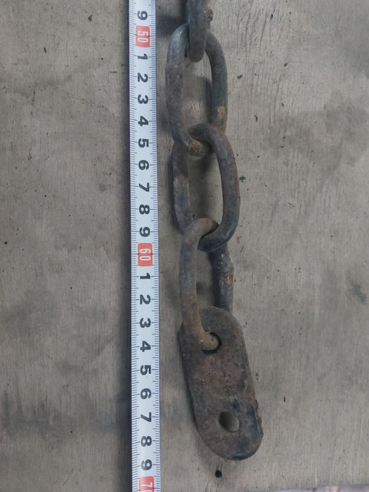 Ланцюговий павук