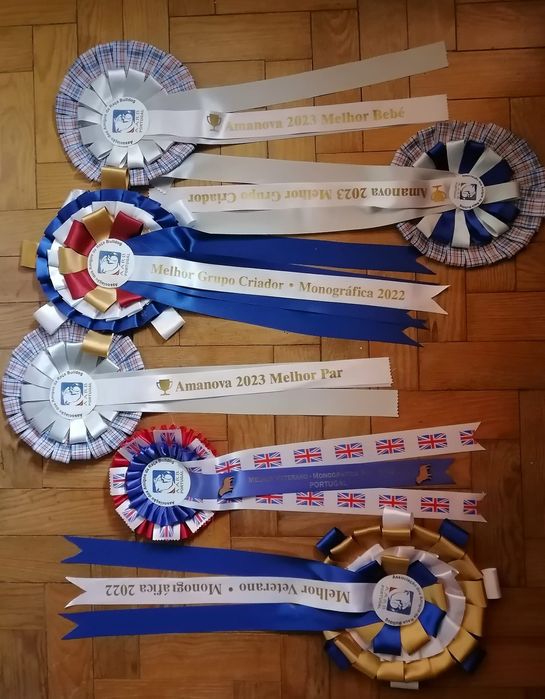 Bulldog Inglês -  com Lop, Afixo, garantia