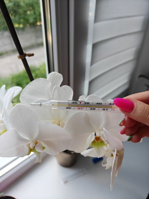 Ртутний Термометр, Ртутний Градусник