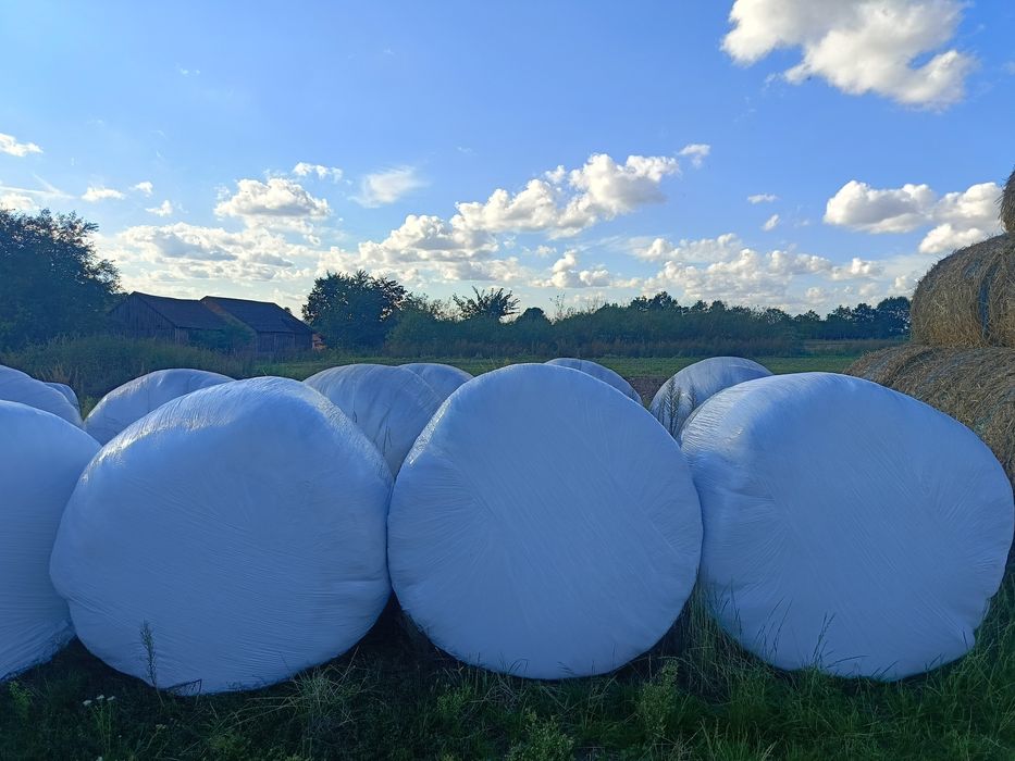 Sianokiszonka tegoroczna