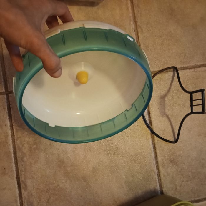 Vários acessórios de hamster