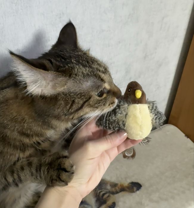 Іграшка для котів GiGwi Melody chaser Пташка зі звуковим чіпом 13 см