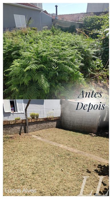 Manutenção de jardins 
• Podas de árvores 
• Limpeza de Terrenos 
• Construção de jardins e Relvados