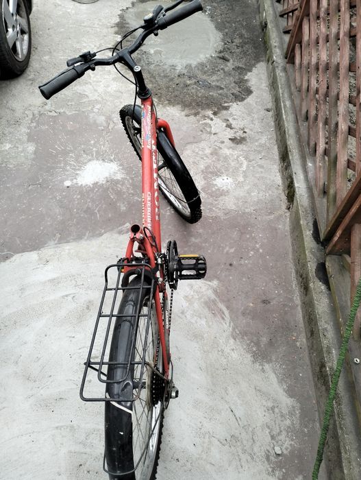 Rower dziecięcy damski 24