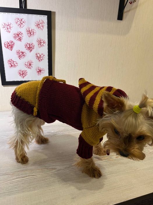 Одежда для собаки