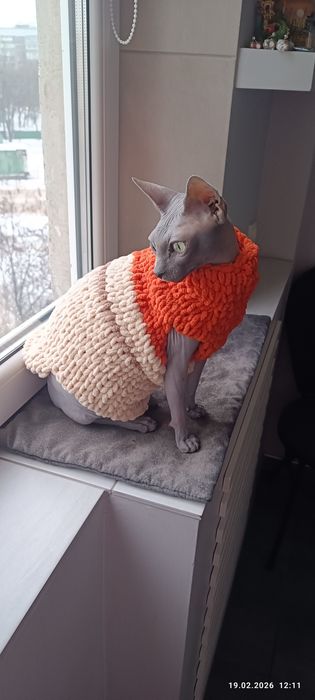 Одежа для сфінкса