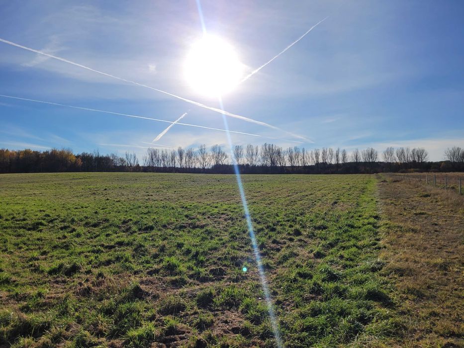 Urokliwa działka budowlana w malowniczej okolicy, 3km od Jeziora Woświn - Widok 2