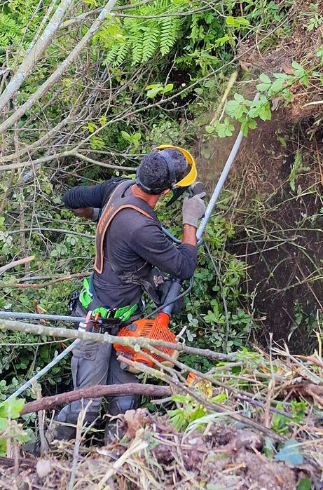 Poda, abate de árvores difíceis