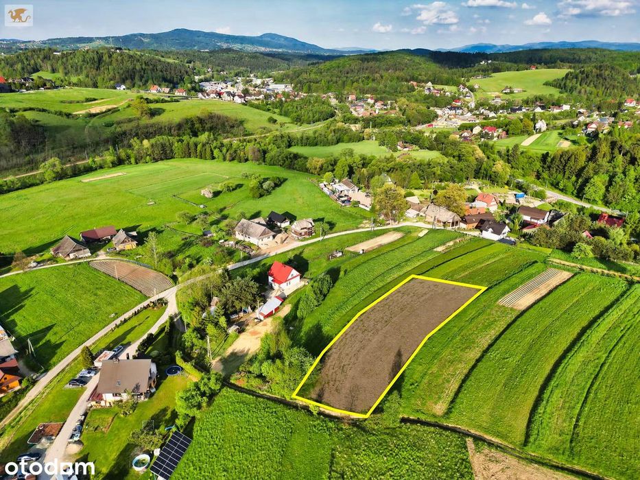 Zdjęcie 5