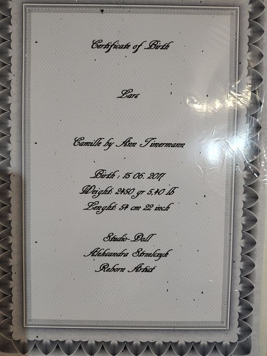 Lalka reborn + mega wielka wyprawka ubrań i fotelik