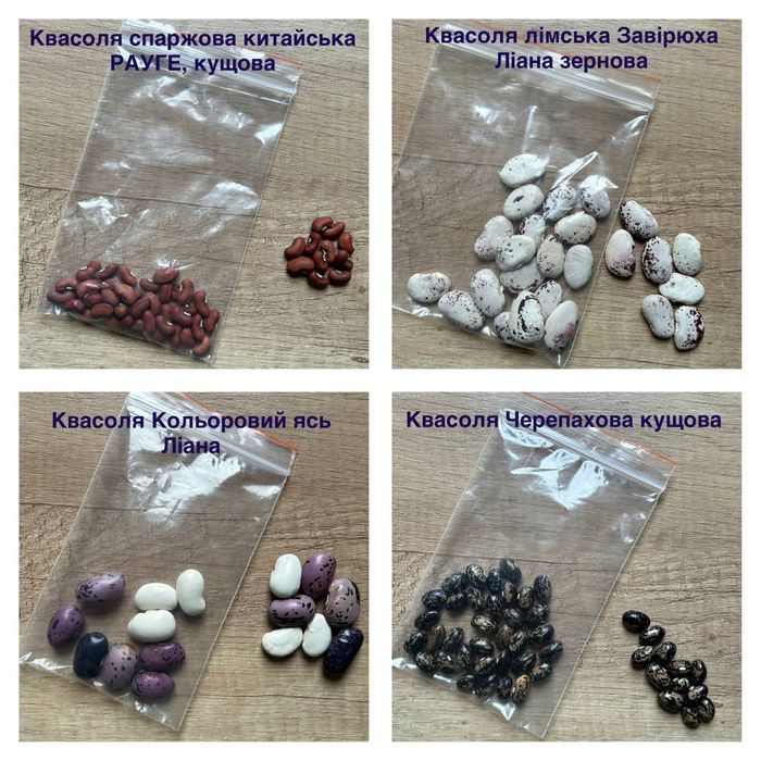 Продам квасолю різних видів.