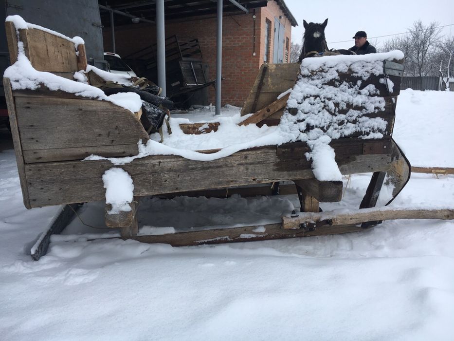 Продам сани для лошади