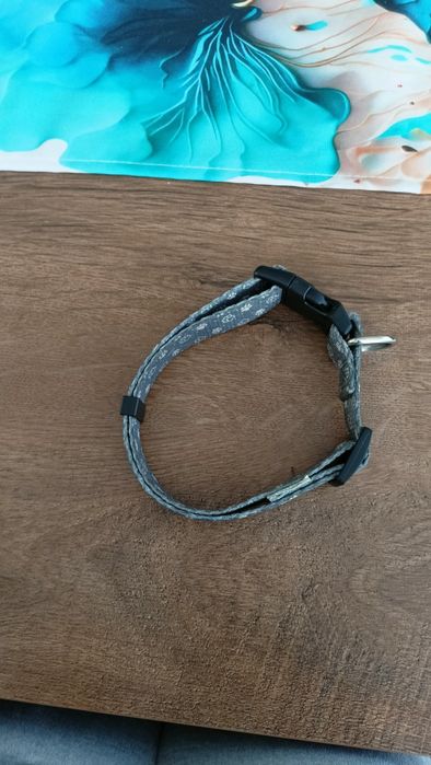 Obroża dla psa lub kota