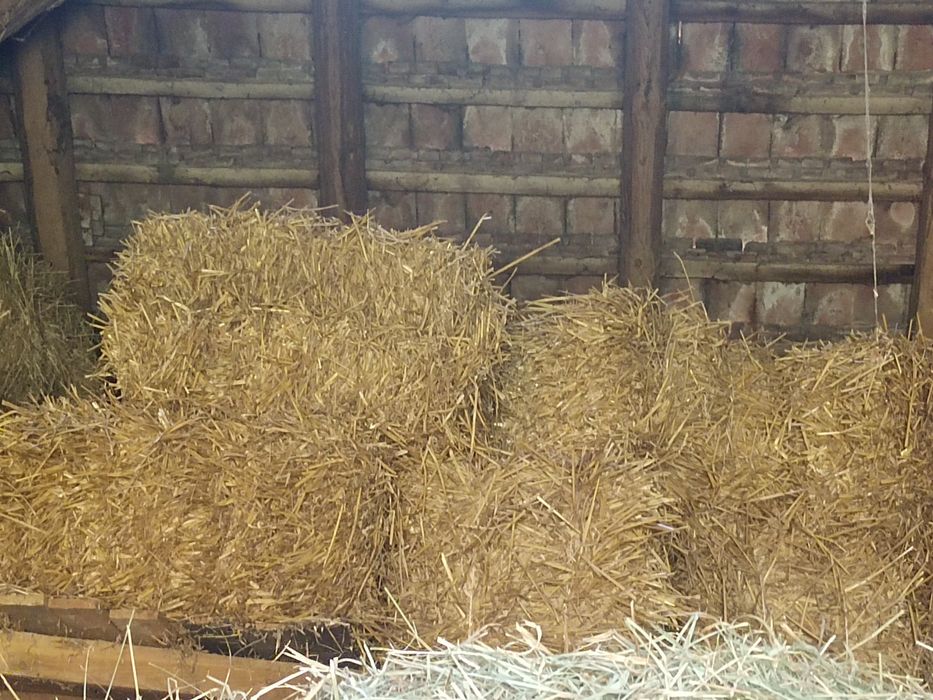 Słoma  małe kostki