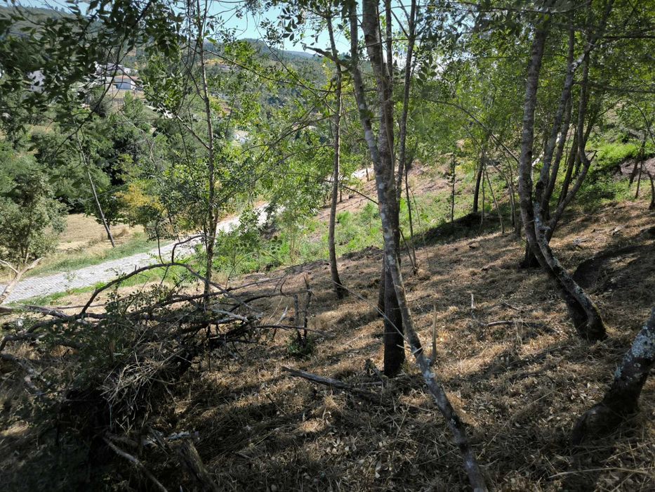 Terreno para venda(construção), em Sanche, com 2736m2