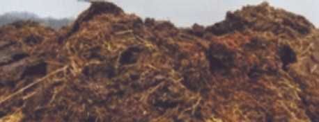 obornik bydlęcy naturalny worek 82cmx50cm, 10zł torf + 2zł za worek pp